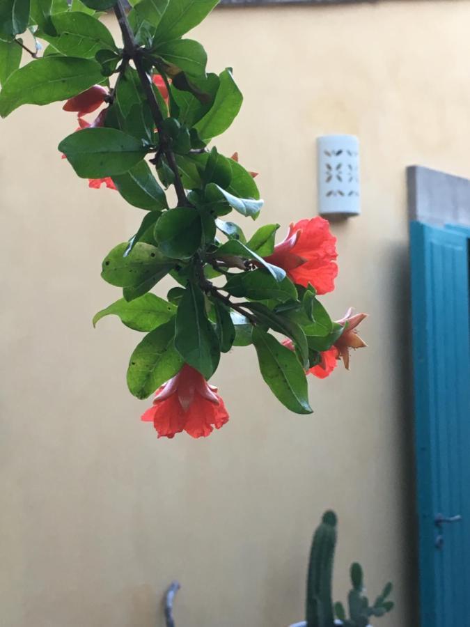 Masseria Lu Iundulu Лечче Экстерьер фото